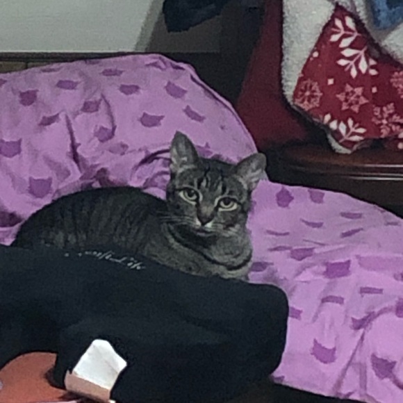 Meet your Posher, Wendie - Picture 8 of 9